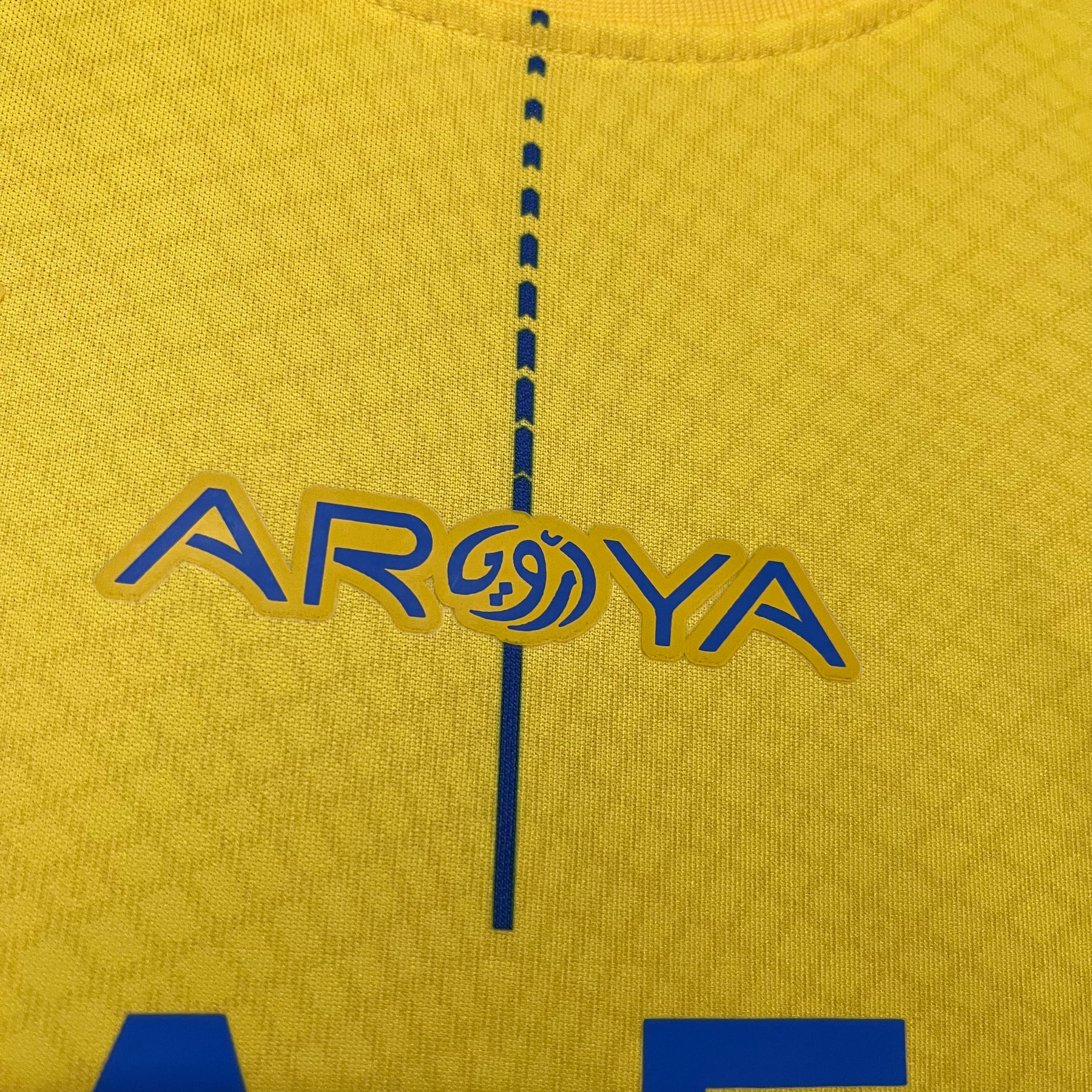 CAMISA AL-NASSR FEMININA HOME 23/24